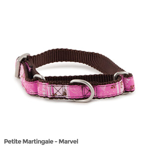 PetSafe Fido Finery Martingale Style Collar (1/2 Petite, Marvel)