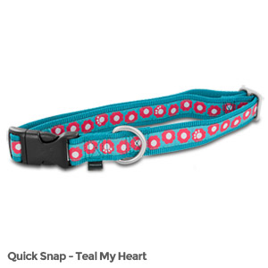 PetSafe Fido Finery Quick Snap Collar (Large, Teal My Heart)