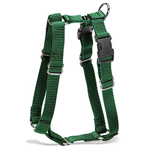 PetSafe Surefit Harness - Green (Petite)